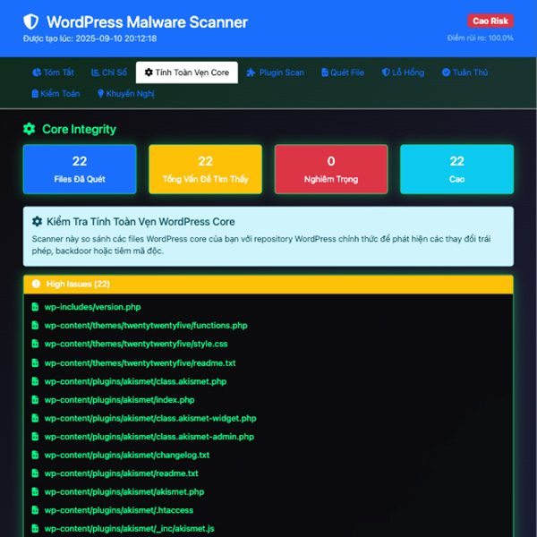 Core Scan Report